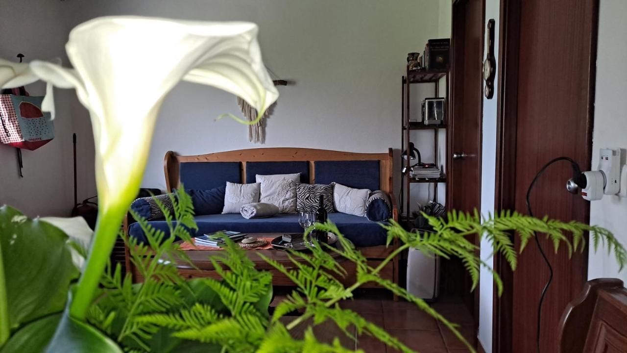 Ferienhaus Casa Azul *