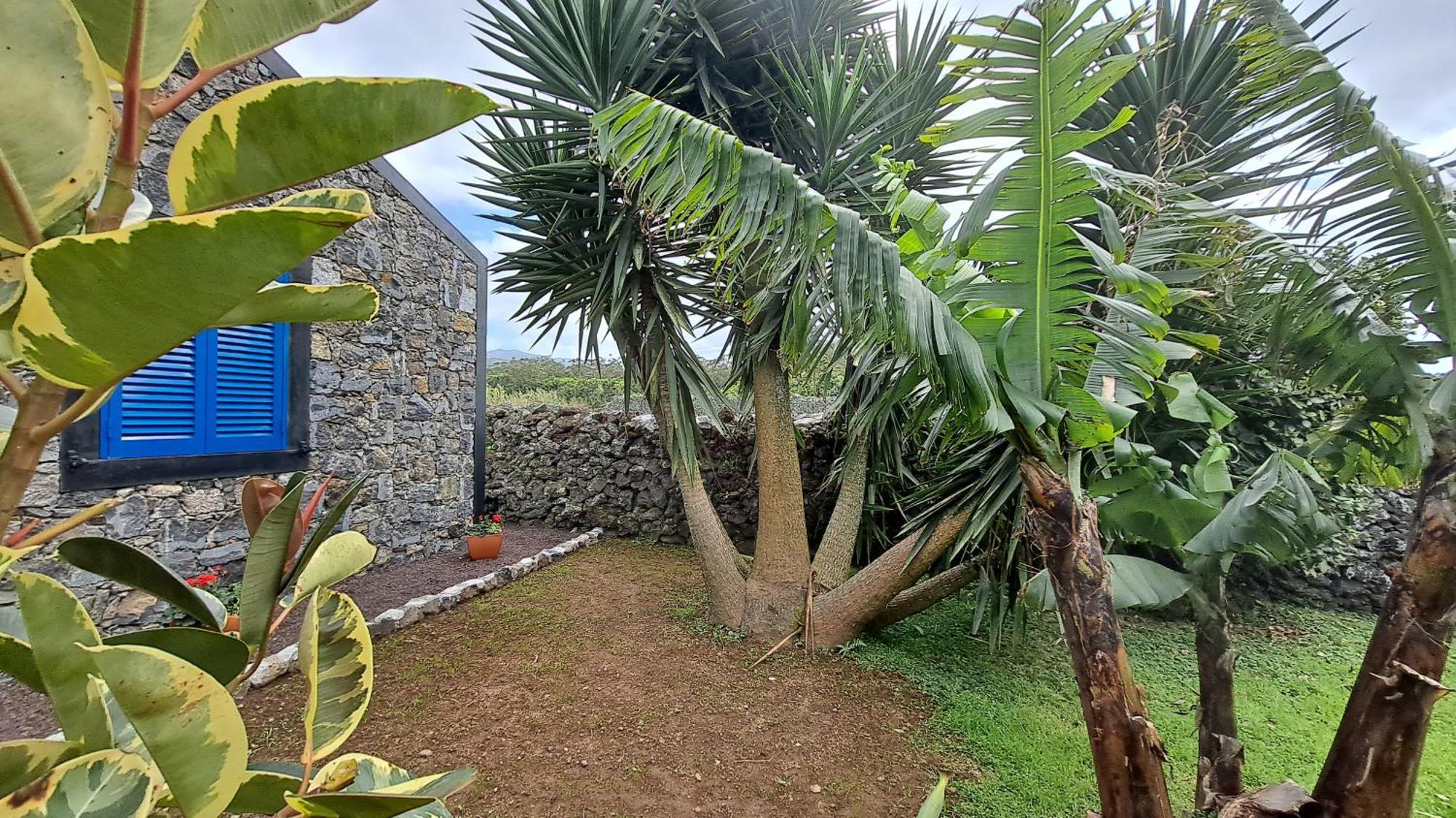 Casa Azul Rabo de Peixe